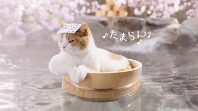 日本人对泡温泉到底有什么执念? 日本人对泡温泉到底有什么执念?