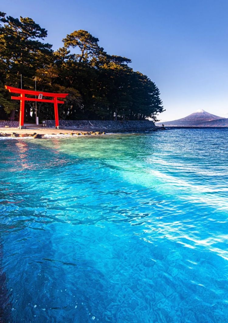 第218期:日本制铁将起诉拜登?知名男星醉酒闯入民宅掉代言;红白收视涨了 告别倒一;平野紫耀或将演晨间剧?| 百通板 第218期:日本制铁将起诉拜登?知名男星醉酒闯入民宅掉代言;红白收视涨了 告别倒一;平野紫耀或将演晨间剧?| 百通板