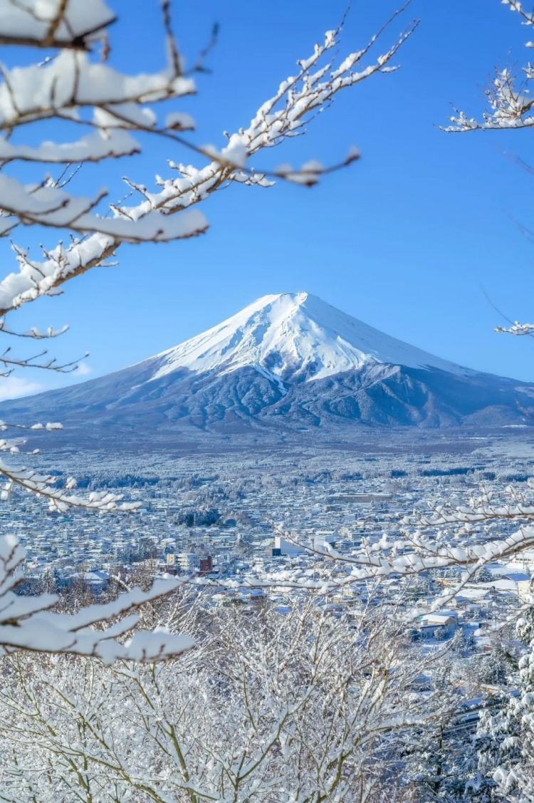 第218期:日本制铁将起诉拜登?知名男星醉酒闯入民宅掉代言;红白收视涨了 告别倒一;平野紫耀或将演晨间剧?| 百通板 第218期:日本制铁将起诉拜登?知名男星醉酒闯入民宅掉代言;红白收视涨了 告别倒一;平野紫耀或将演晨间剧?| 百通板