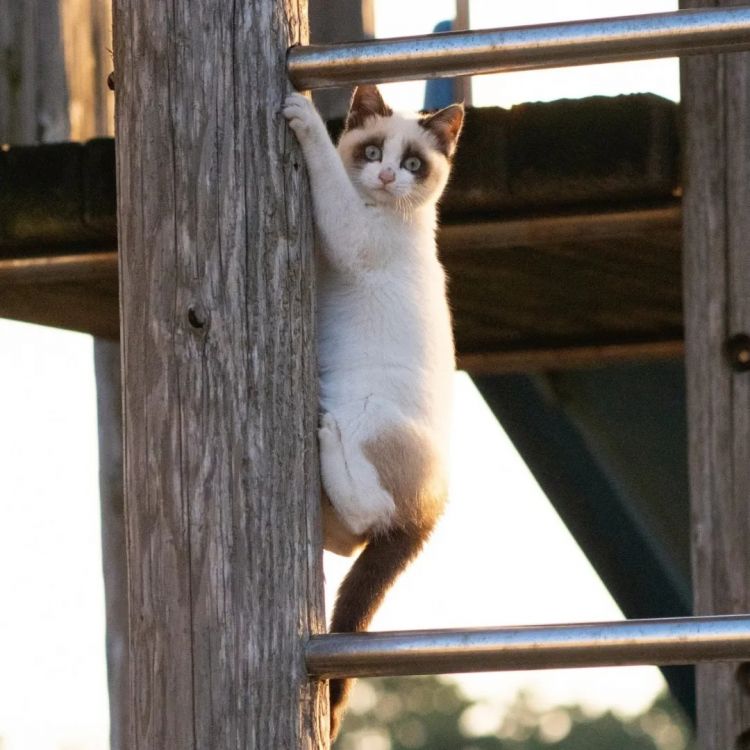 第218期:日本制铁将起诉拜登?知名男星醉酒闯入民宅掉代言;红白收视涨了 告别倒一;平野紫耀或将演晨间剧?| 百通板 第218期:日本制铁将起诉拜登?知名男星醉酒闯入民宅掉代言;红白收视涨了 告别倒一;平野紫耀或将演晨间剧?| 百通板