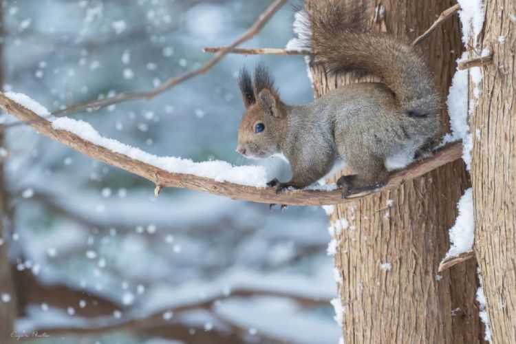 第218期:日本制铁将起诉拜登?知名男星醉酒闯入民宅掉代言;红白收视涨了 告别倒一;平野紫耀或将演晨间剧?| 百通板 第218期:日本制铁将起诉拜登?知名男星醉酒闯入民宅掉代言;红白收视涨了 告别倒一;平野紫耀或将演晨间剧?| 百通板