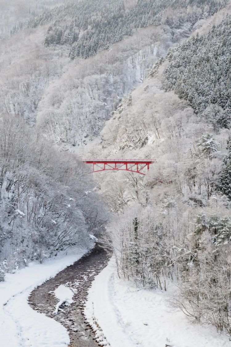 第218期:日本制铁将起诉拜登?知名男星醉酒闯入民宅掉代言;红白收视涨了 告别倒一;平野紫耀或将演晨间剧?| 百通板 第218期:日本制铁将起诉拜登?知名男星醉酒闯入民宅掉代言;红白收视涨了 告别倒一;平野紫耀或将演晨间剧?| 百通板