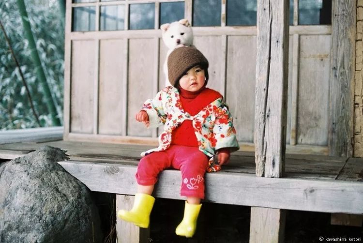 最温暖治愈的日本,藏在这五个摄影师的镜头里 最温暖治愈的日本,藏在这五个摄影师的镜头里