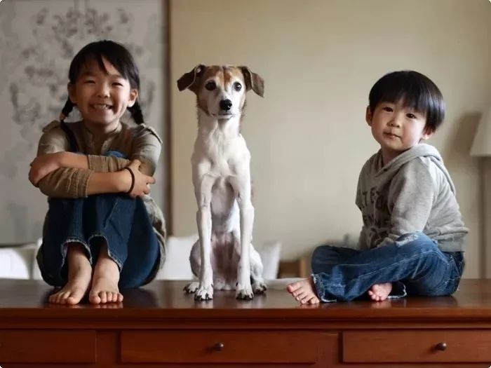 最温暖治愈的日本,藏在这五个摄影师的镜头里 最温暖治愈的日本,藏在这五个摄影师的镜头里