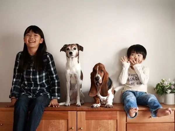 最温暖治愈的日本,藏在这五个摄影师的镜头里 最温暖治愈的日本,藏在这五个摄影师的镜头里