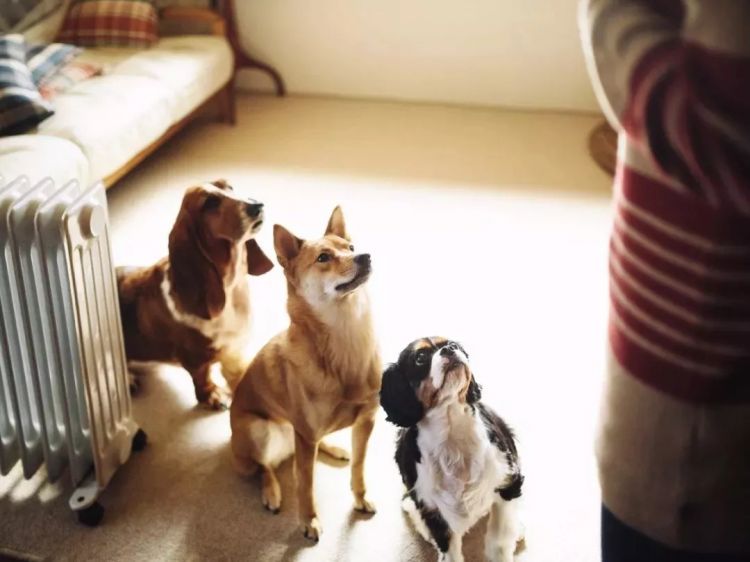 最温暖治愈的日本,藏在这五个摄影师的镜头里 最温暖治愈的日本,藏在这五个摄影师的镜头里