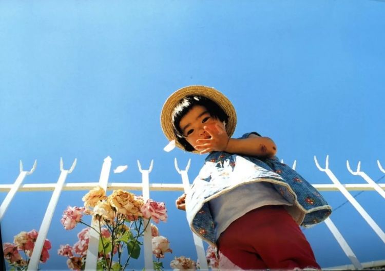 最温暖治愈的日本,藏在这五个摄影师的镜头里 最温暖治愈的日本,藏在这五个摄影师的镜头里