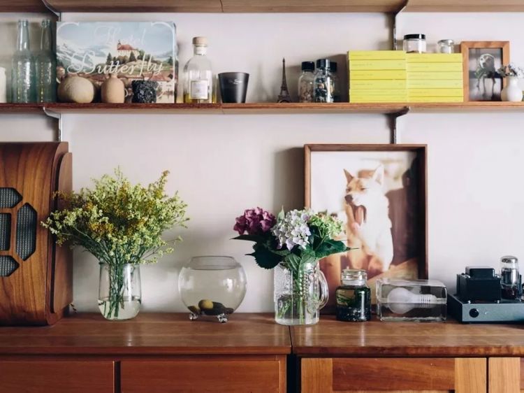 最温暖治愈的日本,藏在这五个摄影师的镜头里 最温暖治愈的日本,藏在这五个摄影师的镜头里