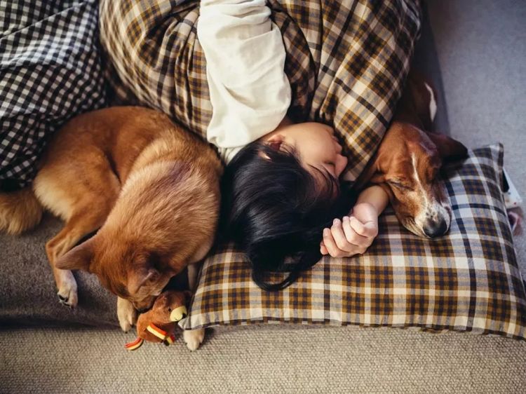 最温暖治愈的日本,藏在这五个摄影师的镜头里 最温暖治愈的日本,藏在这五个摄影师的镜头里