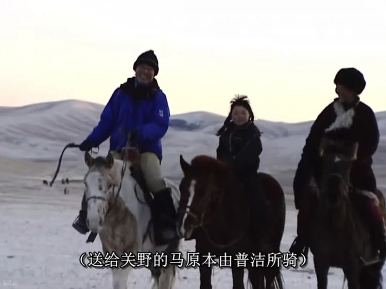 她的意外离世,让这部豆瓣9.7永远拍不出续集 她的意外离世,让这部豆瓣9.7永远拍不出续集