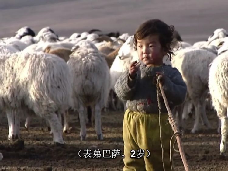 她的意外离世,让这部豆瓣9.7永远拍不出续集 她的意外离世,让这部豆瓣9.7永远拍不出续集