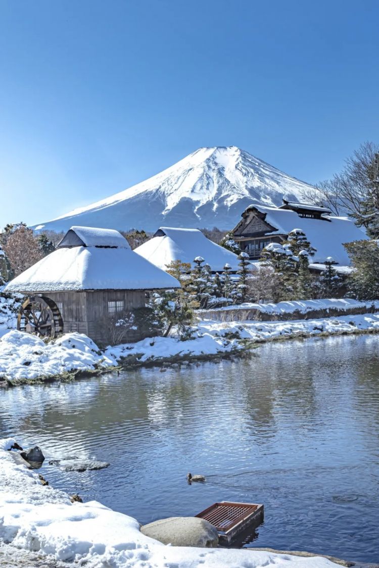 第220期:文春再曝桥本环奈霸凌铁证?日本化学高考惊现古文?国民巨星深陷性丑闻或被封杀 | 百通板 第220期:文春再曝桥本环奈霸凌铁证?日本化学高考惊现古文?国民巨星深陷性丑闻或被封杀 | 百通板