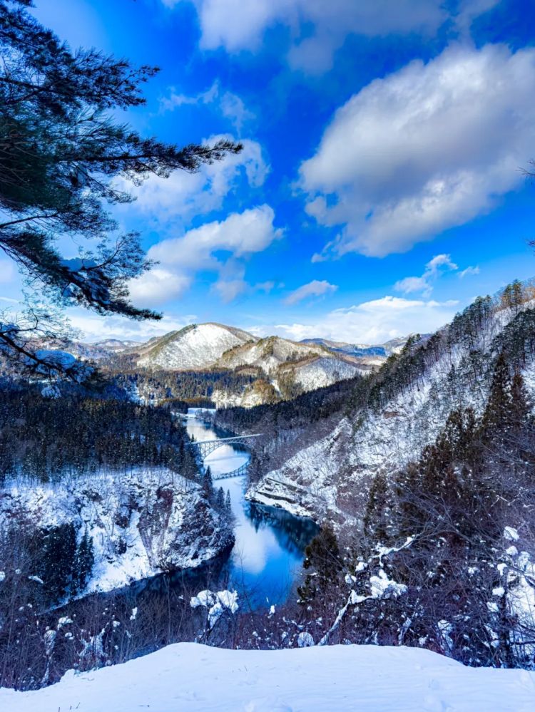 第220期:文春再曝桥本环奈霸凌铁证?日本化学高考惊现古文?国民巨星深陷性丑闻或被封杀 | 百通板 第220期:文春再曝桥本环奈霸凌铁证?日本化学高考惊现古文?国民巨星深陷性丑闻或被封杀 | 百通板