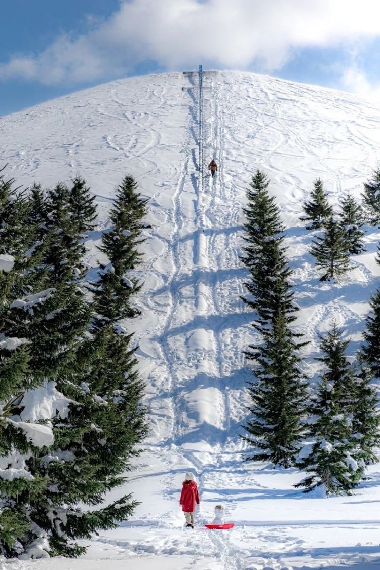 第222期:日本外相宿舍遭陌生女子闯入;又一知名偶像将退团闪婚?日本乒坛名将赌博被捕;大S不幸在日离世 | 百通板 第222期:日本外相宿舍遭陌生女子闯入;又一知名偶像将退团闪婚?日本乒坛名将赌博被捕;大S不幸在日离世 | 百通板