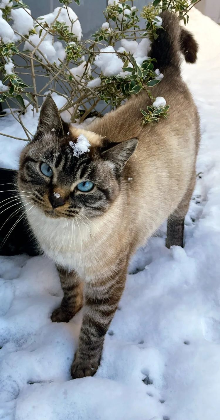第223期:日产本田合作破裂;樱桃小丸子将停播?关西世博吉祥物将动画化;岸田前首相遇袭案或判刑15年 | 百通板 第223期:日产本田合作破裂;樱桃小丸子将停播?关西世博吉祥物将动画化;岸田前首相遇袭案或判刑15年 | 百通板