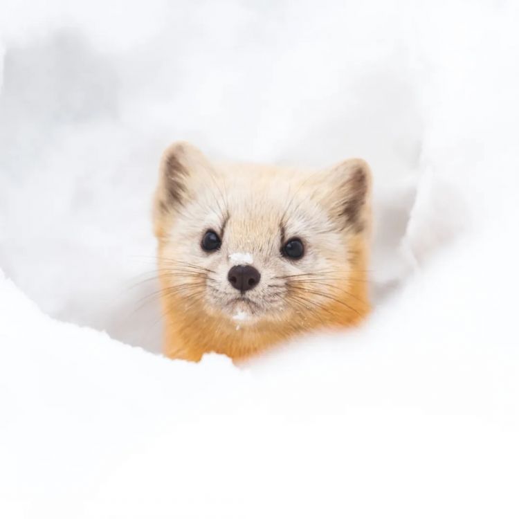 第223期:日产本田合作破裂;樱桃小丸子将停播?关西世博吉祥物将动画化;岸田前首相遇袭案或判刑15年 | 百通板 第223期:日产本田合作破裂;樱桃小丸子将停播?关西世博吉祥物将动画化;岸田前首相遇袭案或判刑15年 | 百通板