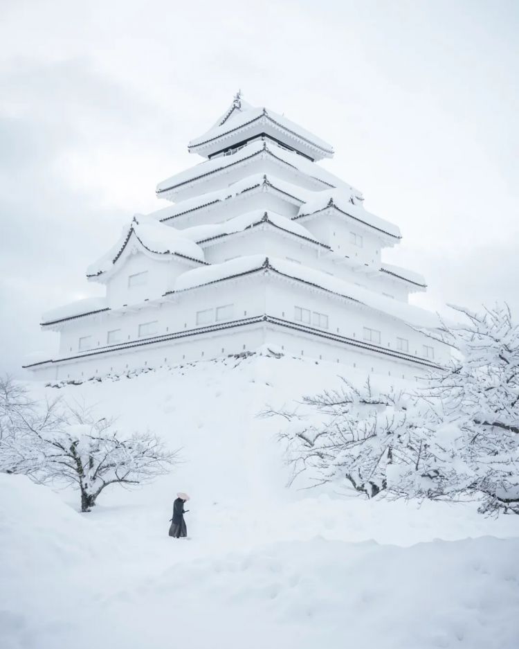第223期:日产本田合作破裂;樱桃小丸子将停播?关西世博吉祥物将动画化;岸田前首相遇袭案或判刑15年 | 百通板 第223期:日产本田合作破裂;樱桃小丸子将停播?关西世博吉祥物将动画化;岸田前首相遇袭案或判刑15年 | 百通板