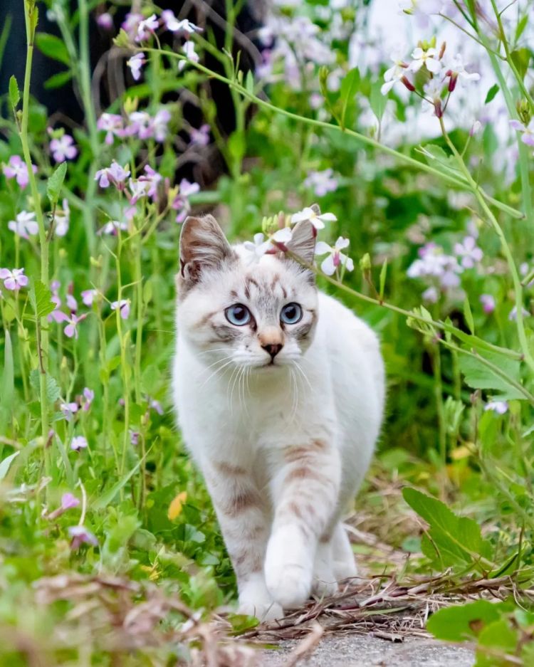 第223期:日产本田合作破裂;樱桃小丸子将停播?关西世博吉祥物将动画化;岸田前首相遇袭案或判刑15年 | 百通板 第223期:日产本田合作破裂;樱桃小丸子将停播?关西世博吉祥物将动画化;岸田前首相遇袭案或判刑15年 | 百通板