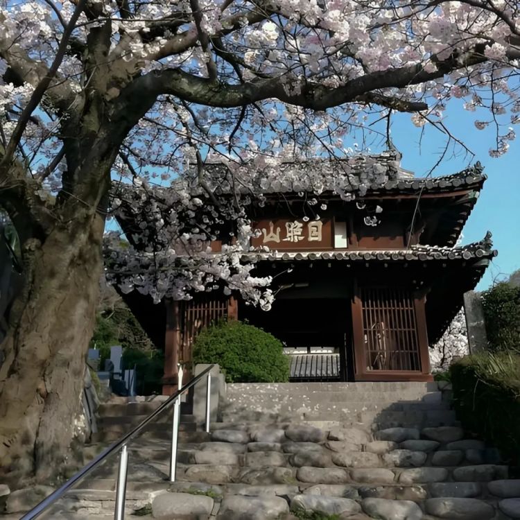 日本最帅和尚官宣“出道”!白天念经、晚上开演唱会,迷倒3000万人:恨不得明天就剃度 日本最帅和尚官宣“出道”!白天念经、晚上开演唱会,迷倒3000万人:恨不得明天就剃度