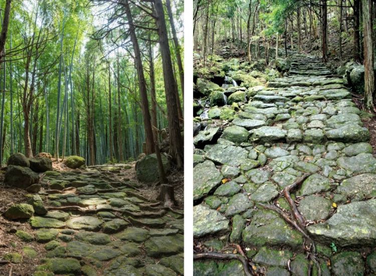 三重县文化探险:忍者与圣地巡礼的铁道之旅 三重县文化探险:忍者与圣地巡礼的铁道之旅