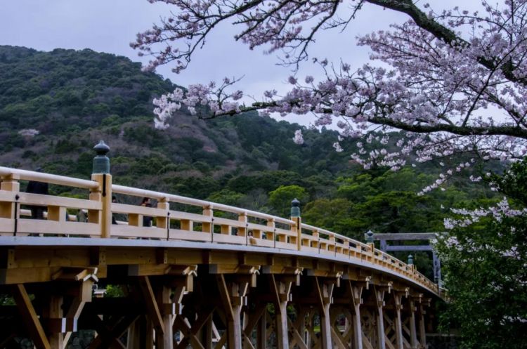 三重县文化探险:忍者与圣地巡礼的铁道之旅 三重县文化探险:忍者与圣地巡礼的铁道之旅