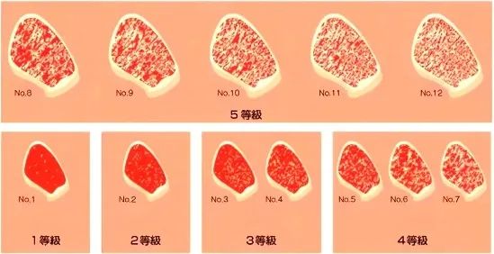 玩腻了东京大阪,中国游客开始奔赴日本乡村 玩腻了东京大阪,中国游客开始奔赴日本乡村