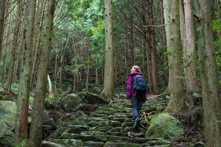 三重县文化探险:忍者与圣地巡礼的铁道之旅 三重县文化探险:忍者与圣地巡礼的铁道之旅