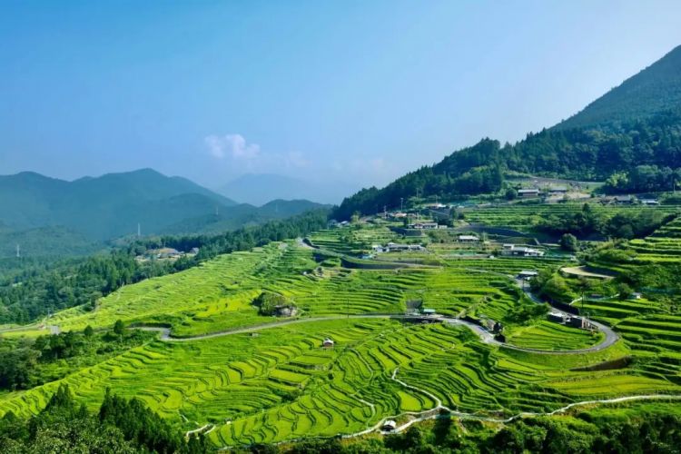 三重县文化探险:忍者与圣地巡礼的铁道之旅 三重县文化探险:忍者与圣地巡礼的铁道之旅