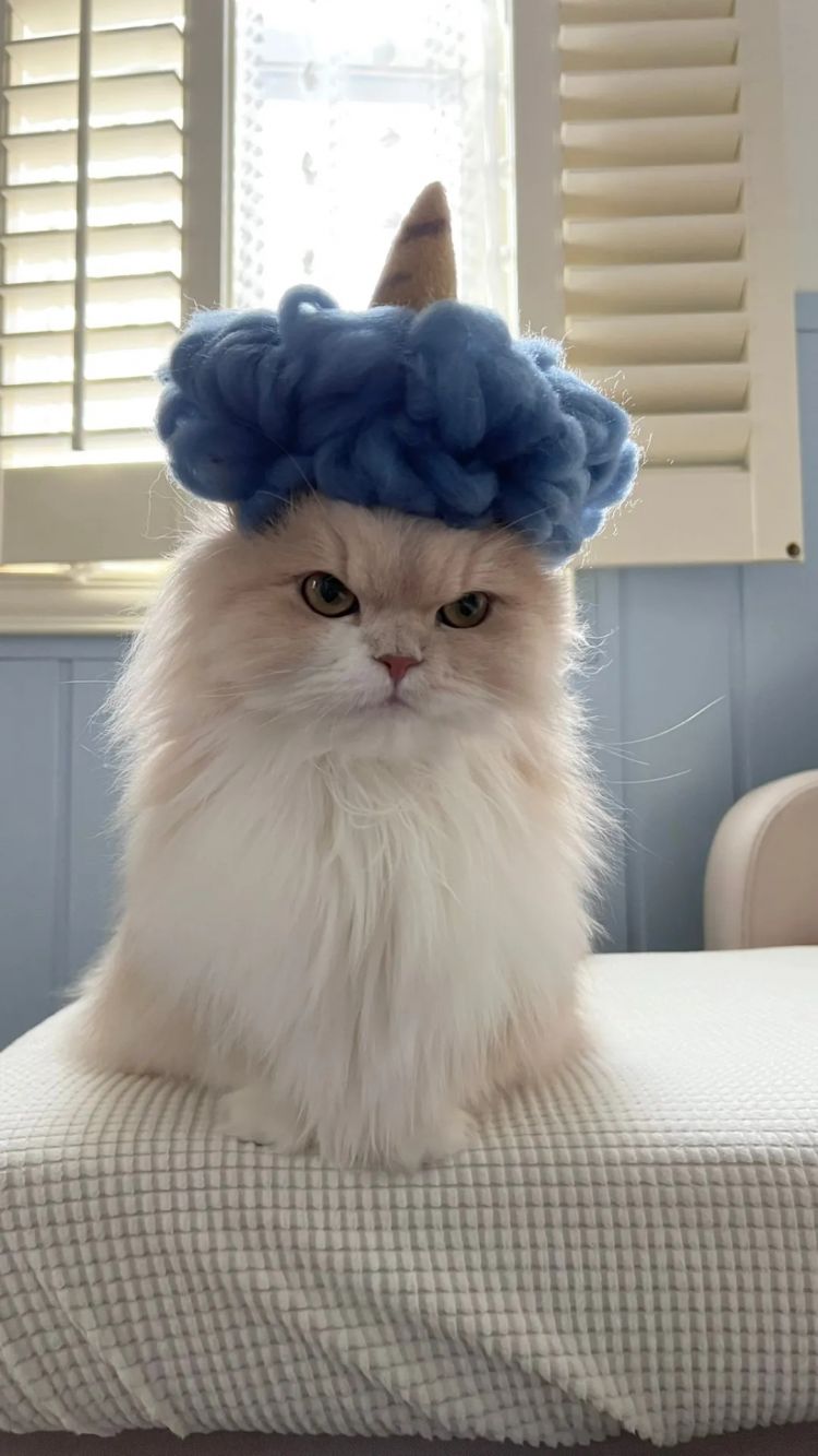 第226期:日本政府提高游客税?龟梨和也田中美奈实恋情实锤?石破茂出席东京女孩时尚盛典 | 百通板 第226期:日本政府提高游客税?龟梨和也田中美奈实恋情实锤?石破茂出席东京女孩时尚盛典 | 百通板