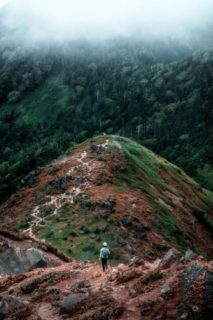 第226期:日本政府提高游客税?龟梨和也田中美奈实恋情实锤?石破茂出席东京女孩时尚盛典 | 百通板 第226期:日本政府提高游客税?龟梨和也田中美奈实恋情实锤?石破茂出席东京女孩时尚盛典 | 百通板