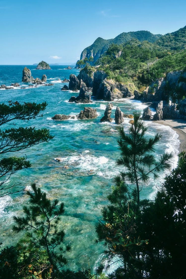 第226期:日本政府提高游客税?龟梨和也田中美奈实恋情实锤?石破茂出席东京女孩时尚盛典 | 百通板 第226期:日本政府提高游客税?龟梨和也田中美奈实恋情实锤?石破茂出席东京女孩时尚盛典 | 百通板