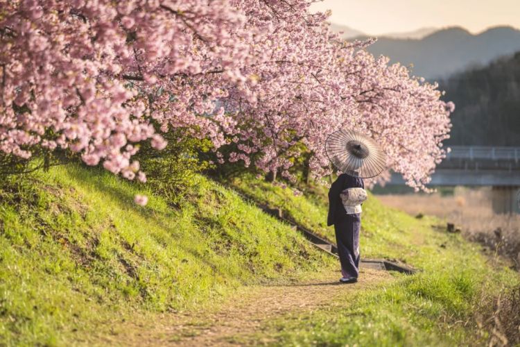 第226期:日本政府提高游客税?龟梨和也田中美奈实恋情实锤?石破茂出席东京女孩时尚盛典 | 百通板 第226期:日本政府提高游客税?龟梨和也田中美奈实恋情实锤?石破茂出席东京女孩时尚盛典 | 百通板