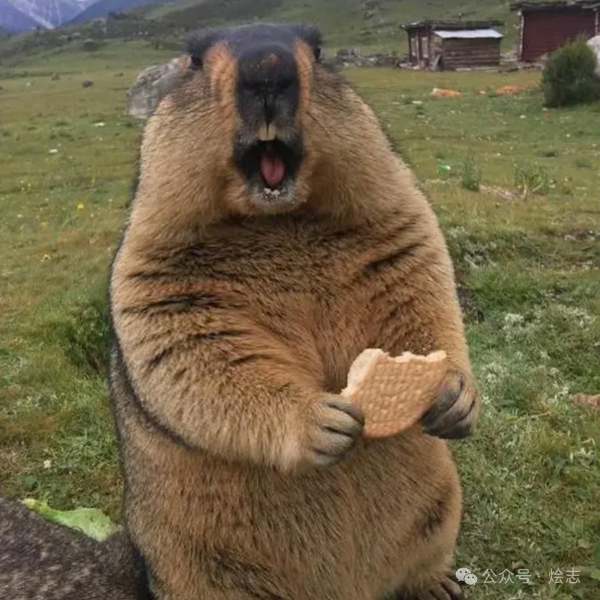 煎饼:谢邀,人在东京当せんべい 关于旺旺仙贝的由来 煎饼:谢邀,人在东京当せんべい 关于旺旺仙贝的由来