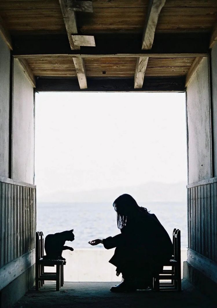 第226期:日本政府提高游客税?龟梨和也田中美奈实恋情实锤?石破茂出席东京女孩时尚盛典 | 百通板 第226期:日本政府提高游客税?龟梨和也田中美奈实恋情实锤?石破茂出席东京女孩时尚盛典 | 百通板