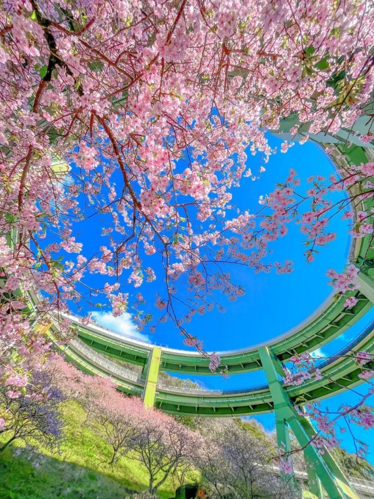 第226期:日本政府提高游客税?龟梨和也田中美奈实恋情实锤?石破茂出席东京女孩时尚盛典 | 百通板 第226期:日本政府提高游客税?龟梨和也田中美奈实恋情实锤?石破茂出席东京女孩时尚盛典 | 百通板