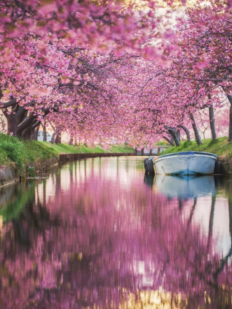 第226期:日本政府提高游客税?龟梨和也田中美奈实恋情实锤?石破茂出席东京女孩时尚盛典 | 百通板 第226期:日本政府提高游客税?龟梨和也田中美奈实恋情实锤?石破茂出席东京女孩时尚盛典 | 百通板