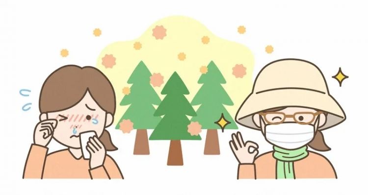 为什么日本得「花粉症」的人那么多? 为什么日本得「花粉症」的人那么多?