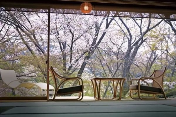 赏最美的樱花,泡最舒服的温泉 赏最美的樱花,泡最舒服的温泉