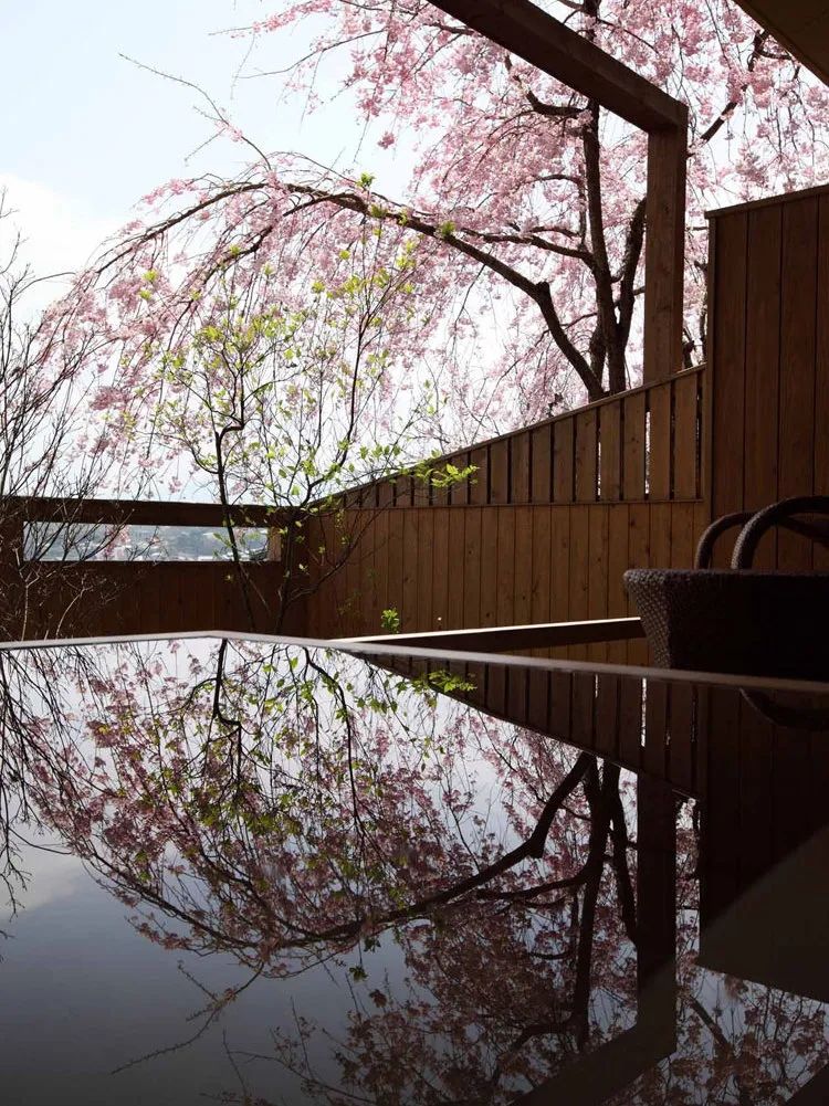 赏最美的樱花,泡最舒服的温泉 赏最美的樱花,泡最舒服的温泉