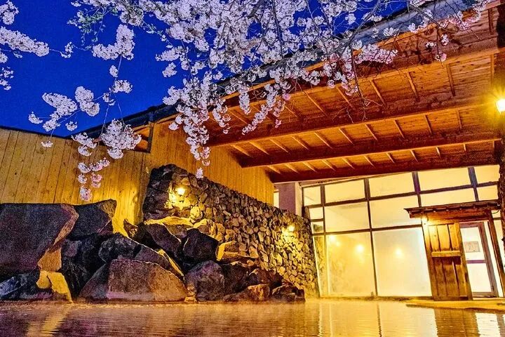 赏最美的樱花,泡最舒服的温泉 赏最美的樱花,泡最舒服的温泉