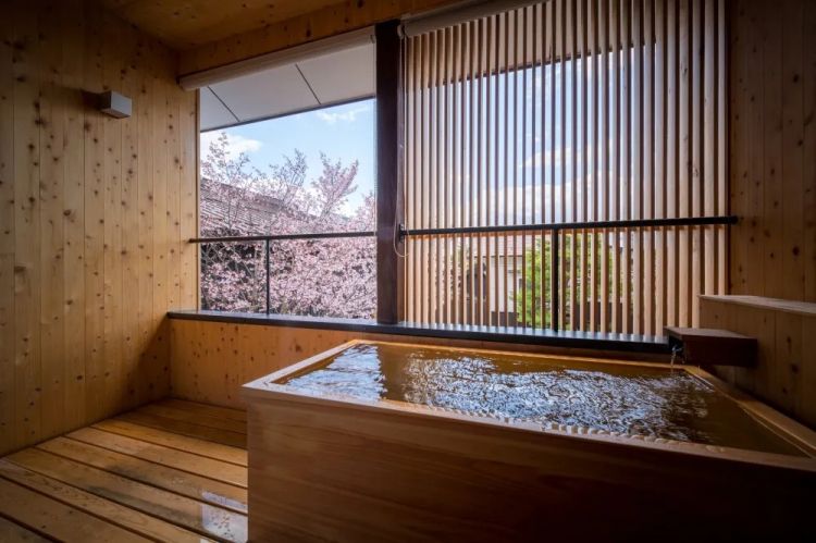 赏最美的樱花,泡最舒服的温泉 赏最美的樱花,泡最舒服的温泉