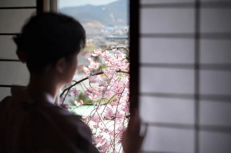 赏最美的樱花,泡最舒服的温泉 赏最美的樱花,泡最舒服的温泉