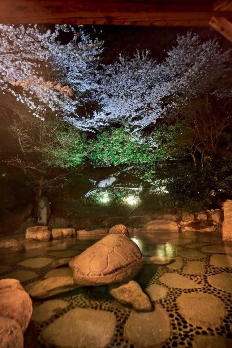 赏最美的樱花,泡最舒服的温泉 赏最美的樱花,泡最舒服的温泉