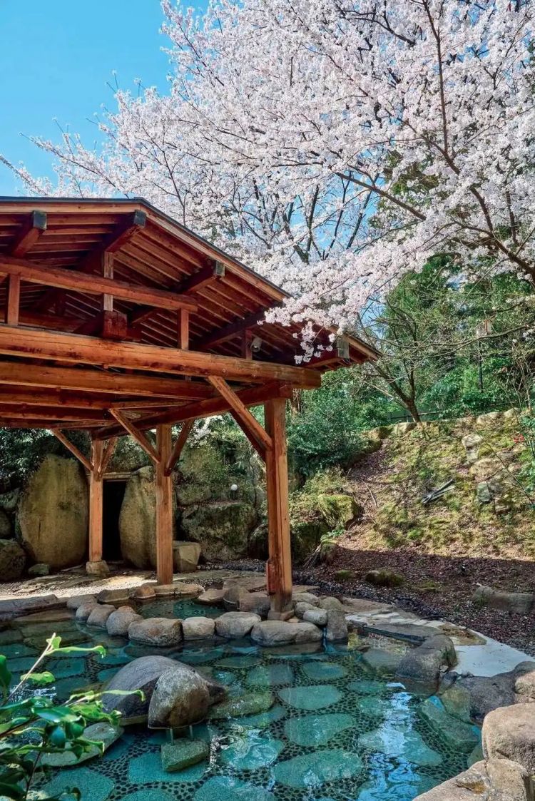 赏最美的樱花,泡最舒服的温泉 赏最美的樱花,泡最舒服的温泉