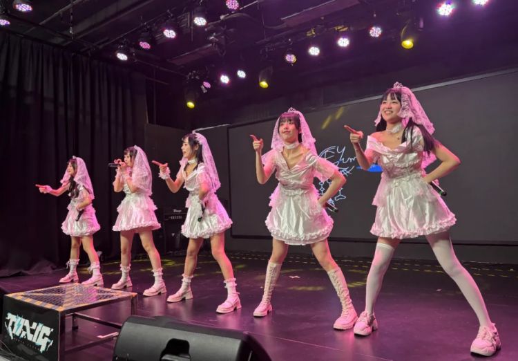 票价不到100块,不追内娱的年轻人沉迷地下偶像 票价不到100块,不追内娱的年轻人沉迷地下偶像