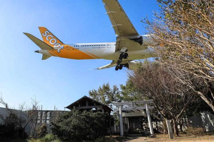 日本最强钉子户,“钉”在了成田机场里 日本最强钉子户,“钉”在了成田机场里