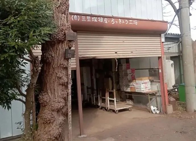 日本最强钉子户,“钉”在了成田机场里 日本最强钉子户,“钉”在了成田机场里