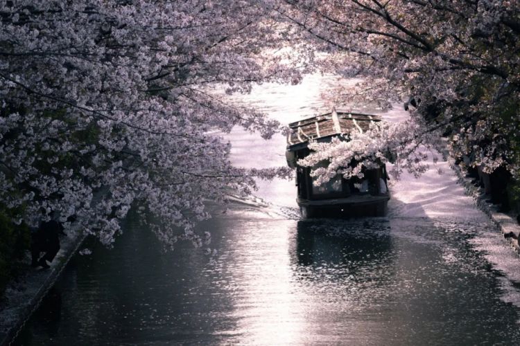 第227期:日本艺人在港猥亵被捕?石原里美二胎;人气博主直播中被刺身亡;日产CEO卸任 | 百通板 第227期:日本艺人在港猥亵被捕?石原里美二胎;人气博主直播中被刺身亡;日产CEO卸任 | 百通板