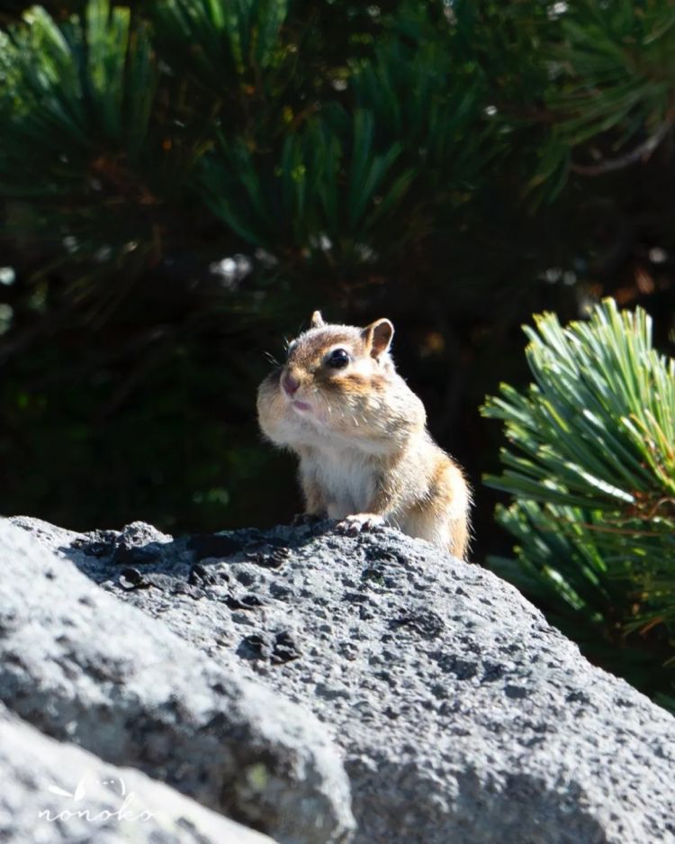第227期:日本艺人在港猥亵被捕?石原里美二胎;人气博主直播中被刺身亡;日产CEO卸任 | 百通板 第227期:日本艺人在港猥亵被捕?石原里美二胎;人气博主直播中被刺身亡;日产CEO卸任 | 百通板