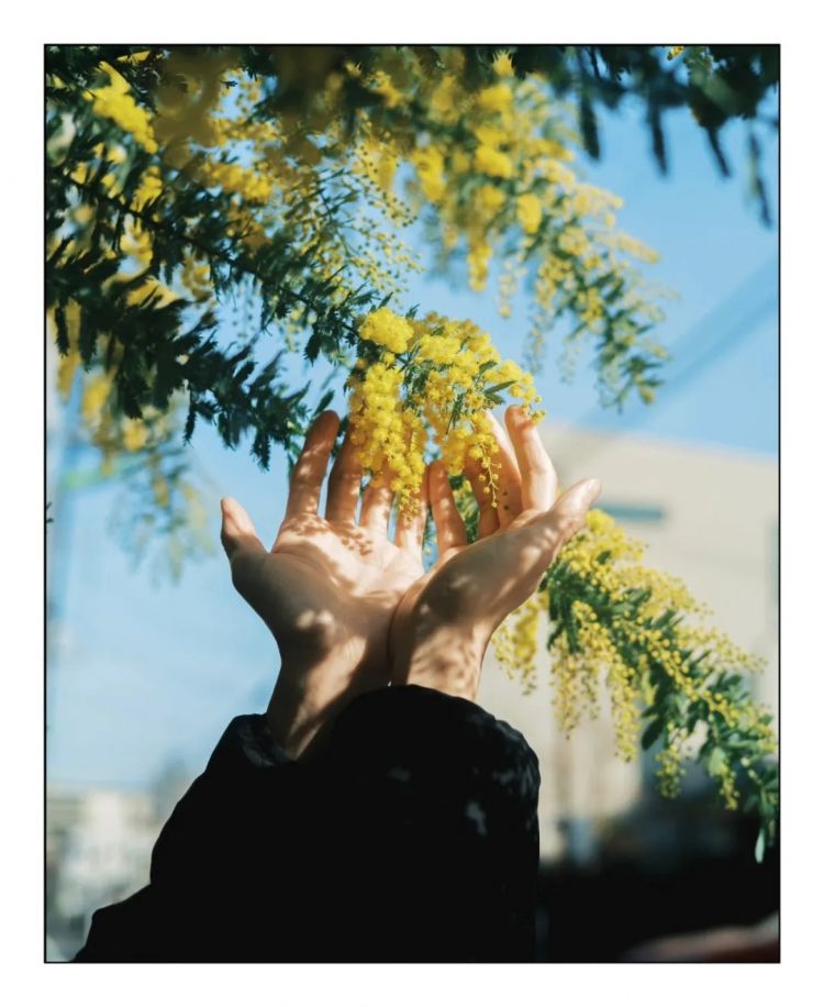 第227期:日本艺人在港猥亵被捕?石原里美二胎;人气博主直播中被刺身亡;日产CEO卸任 | 百通板 第227期:日本艺人在港猥亵被捕?石原里美二胎;人气博主直播中被刺身亡;日产CEO卸任 | 百通板